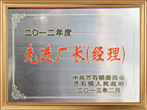  科學(xué)廠長（經(jīng)理）